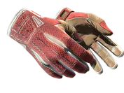 ★ Sport Gloves | Slingshot image