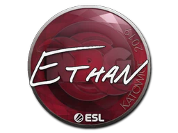 Sticker | Ethan | Katowice 2019 image