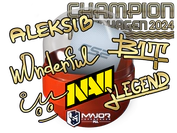 Copenhagen 2024 Champions Autograph Capsule image