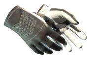 ★ Driver Gloves | Black Tie image