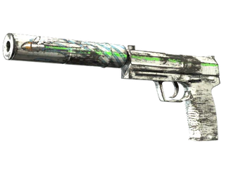USP-S | Road Rash image