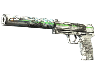 USP-S | Road Rash image