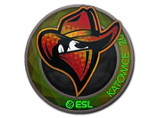 Sticker | Renegades (Holo) | Katowice 2019 image
