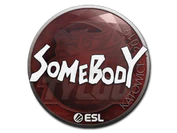 Sticker | somebody | Katowice 2019 image
