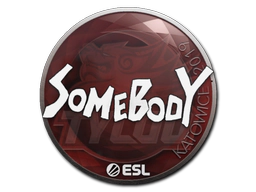 Sticker | somebody | Katowice 2019 image