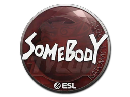 Sticker | somebody | Katowice 2019 image