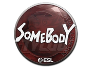 Sticker | somebody | Katowice 2019 image