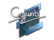 Sticker | cajunb | Boston 2018 image
