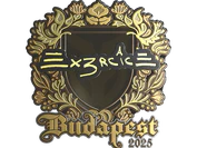 Sticker | Ex3rcice (Gold) | Budapest 2025 image