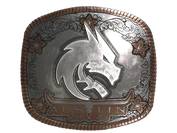 Sticker | Team Spirit (Foil) | Austin 2025 image