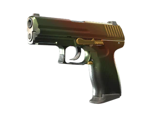 P2000 | Amber Fade