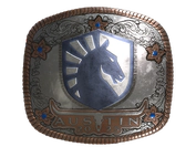 Sticker | Team Liquid (Foil) | Austin 2025 image