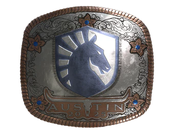 Sticker | Team Liquid (Foil) | Austin 2025 image