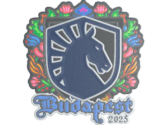 Sticker | Team Liquid (Embroidered) | Budapest 2025 image