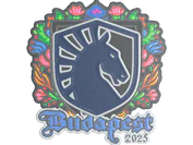 Sticker | Team Liquid (Embroidered) | Budapest 2025 image