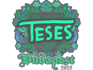 Sticker | TeSeS | Budapest 2025