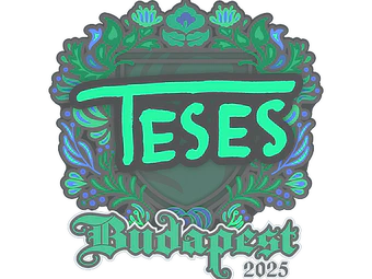 Sticker | TeSeS | Budapest 2025 image