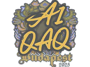 Sticker | EmiliaQAQ | Budapest 2025 image