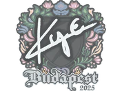 Sticker | kye | Budapest 2025 image