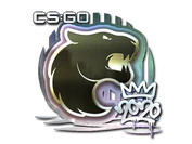 Sticker | FURIA (Foil) | 2020 RMR image