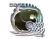 Sticker | FURIA (Foil) | 2020 RMR image