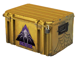 Shattered Web Case image