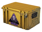 Shattered Web Case image