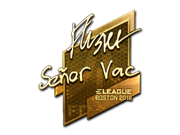 Sticker | flusha (Gold) | Boston 2018 image