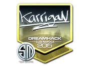 Sticker | karrigan (Foil) | Cluj-Napoca 2015 image