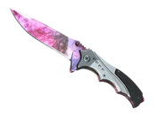 ★ Nomad Knife | Doppler Phase 2 image
