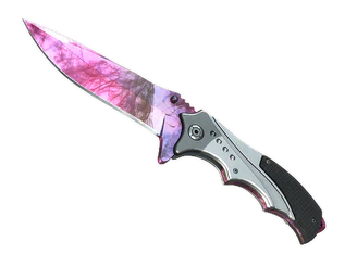 ★ Nomad Knife | Doppler Phase 2 image