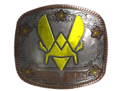 Sticker | Vitality (Foil) | Austin 2025 image