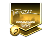 Sticker | tenzki (Gold) | Cluj-Napoca 2015 image