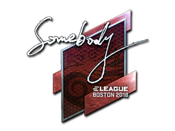 Sticker | somebody (Foil) | Boston 2018 image