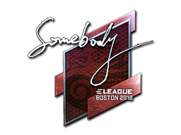 Sticker | somebody (Foil) | Boston 2018 image
