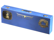 Austin 2025 Ancient Souvenir Highlight Package image