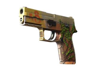 P250 | Inferno image
