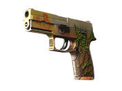 P250 | Inferno image