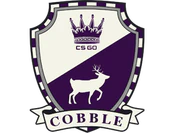 The Cobblestone Collection image