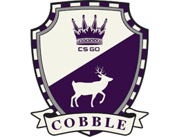 The Cobblestone Collection image