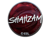 Sticker | ShahZaM (Foil) | Katowice 2019 image