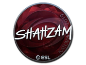 Sticker | ShahZaM (Foil) | Katowice 2019 image