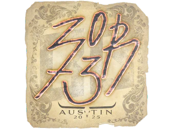 Sticker | zorte | Austin 2025 image