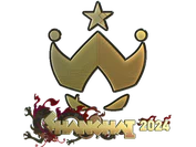 Sticker | Wildcard (Gold) | Shanghai 2024 image