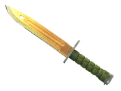 ★ Bayonet | Lore image