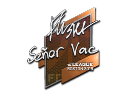 Sticker | flusha | Boston 2018 image
