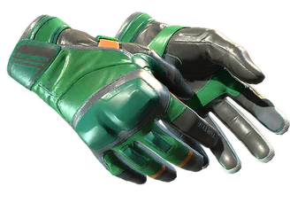 ★ Moto Gloves | Turtle image