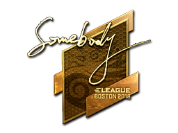 Sticker | somebody (Gold) | Boston 2018 image
