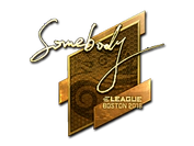 Sticker | somebody (Gold) | Boston 2018 image