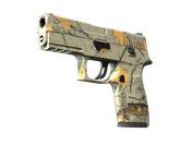 P250 | Modern Hunter image